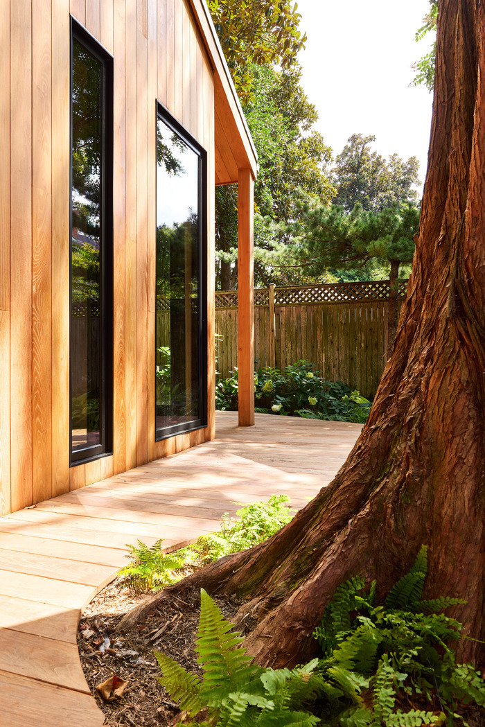 Backyard Writer’s Cabin in Georgetown, Washington, DC with porch cut around tree trunk