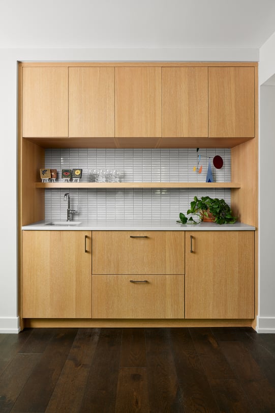 bespoke-modern-home-in-fairfax-virginia-05