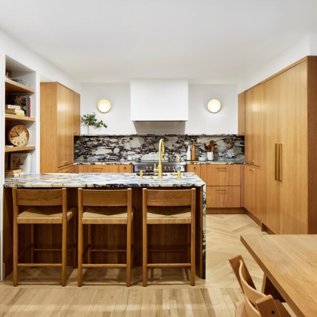 condo-kitchen-and-pantry-in-washington-dc-01-620x620