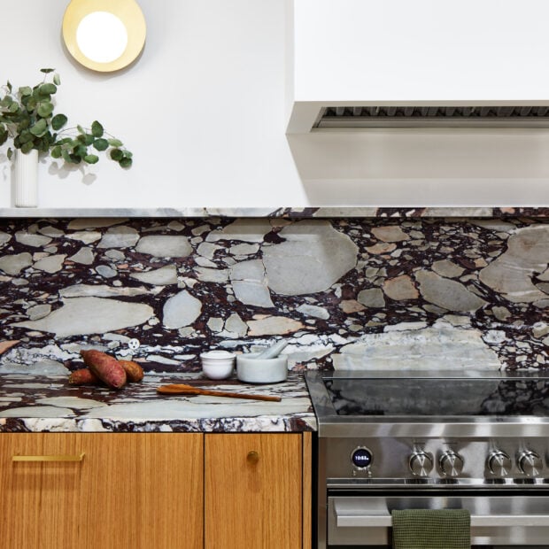 condo-kitchen-and-pantry-in-washington-dc-07-620x620