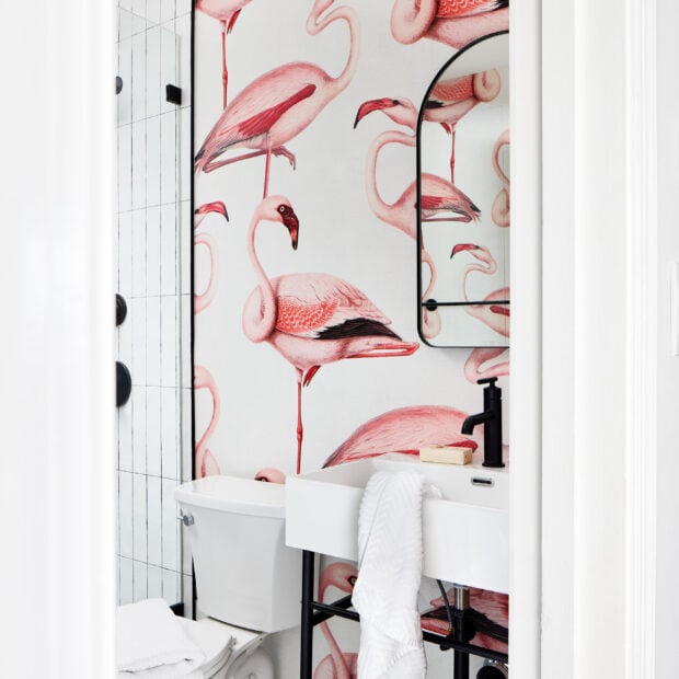 contemporary-home-refresh-in-alexandria-virginia-06-620x620