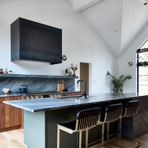 edgy-colonial-meets-resort-living-in-mclean-virginia-14-620x620