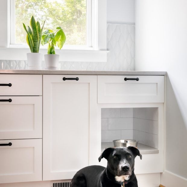 full-home-remodel-in-brookland-washington-dc-02-620x620