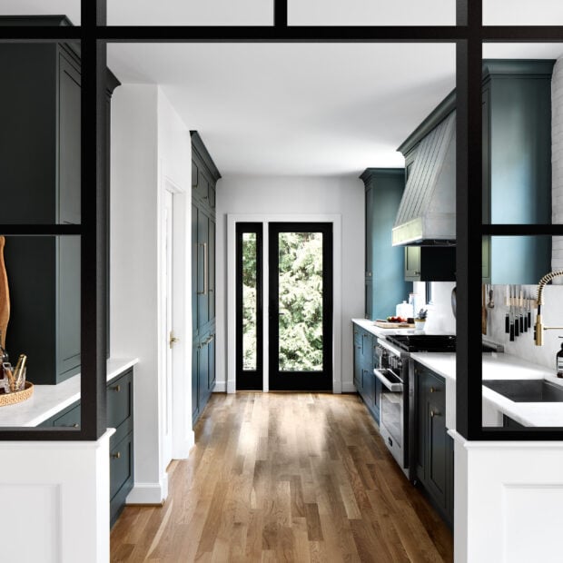 elevated-bungalow-in-del-ray-alexandria-virginia-03-620x620