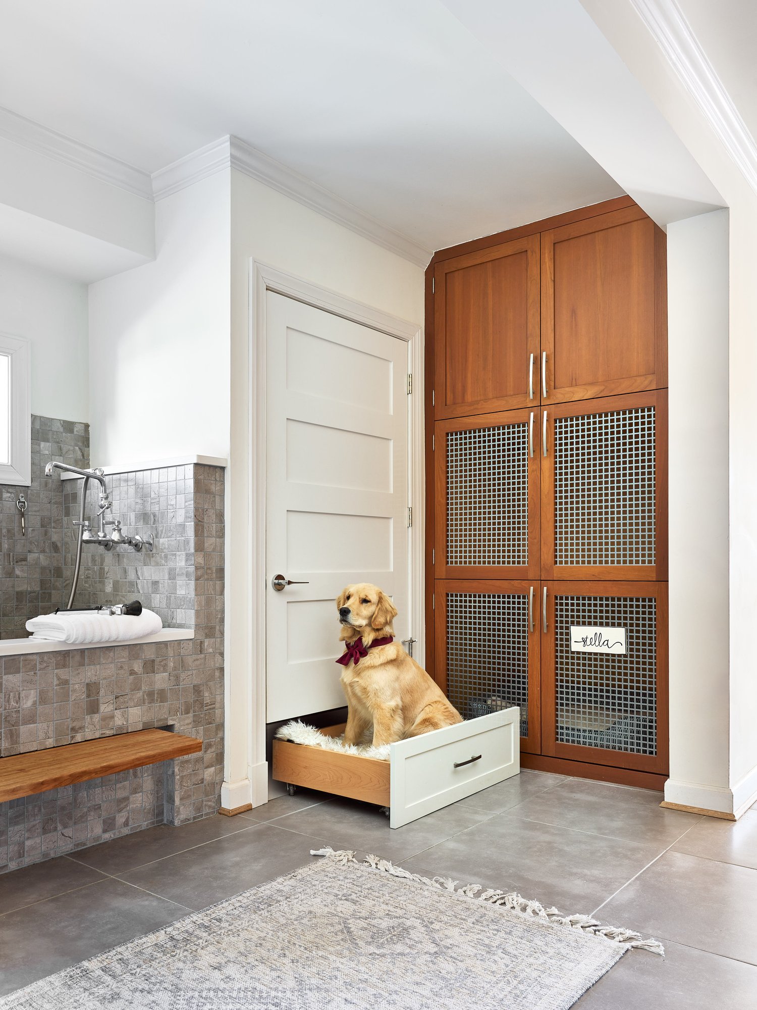laundry-and-dog-spa-in-fairfax-virginia-04