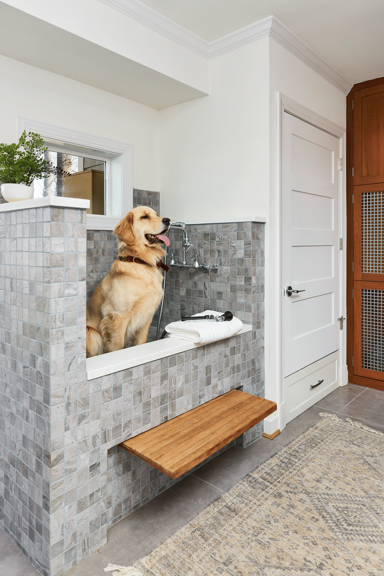 laundry-and-dog-spa-in-fairfax-virginia-06