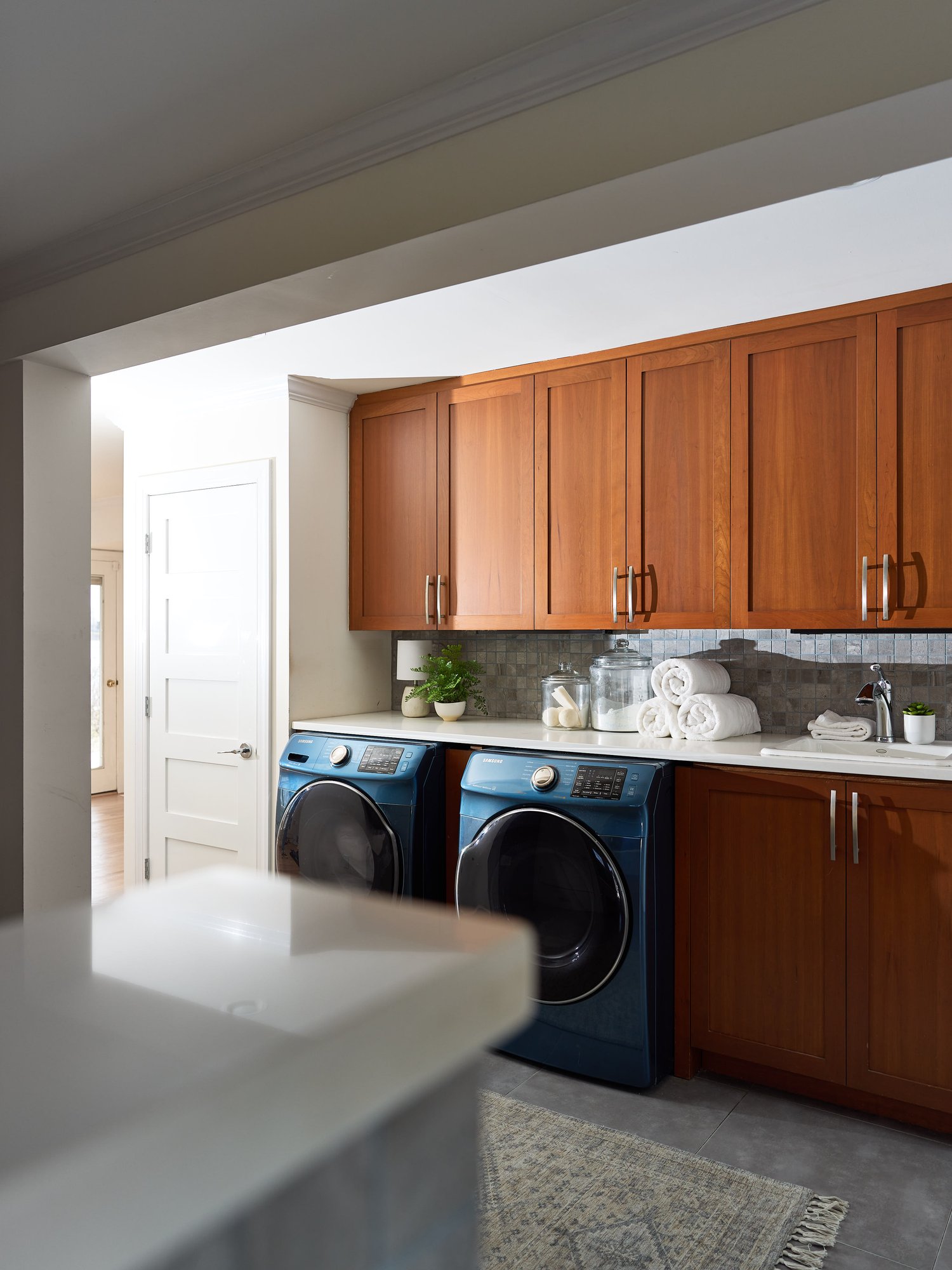 laundry-and-dog-spa-in-fairfax-virginia-12