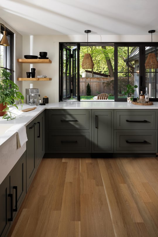 modern-adu-in-del-ray-alexandria-virginia-4