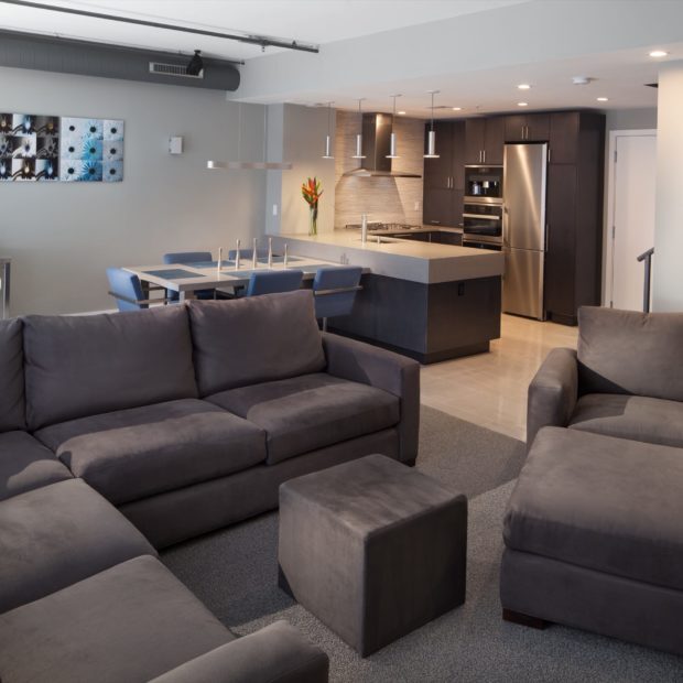 modern-condo-renovation-in-logan-circle-washington-dc-4-620x620