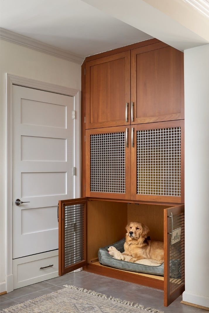 StellainKennel