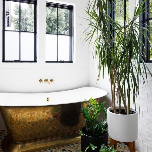 transitional-home-transformation-in-mount-pleasant-washington-dc-15-620x620