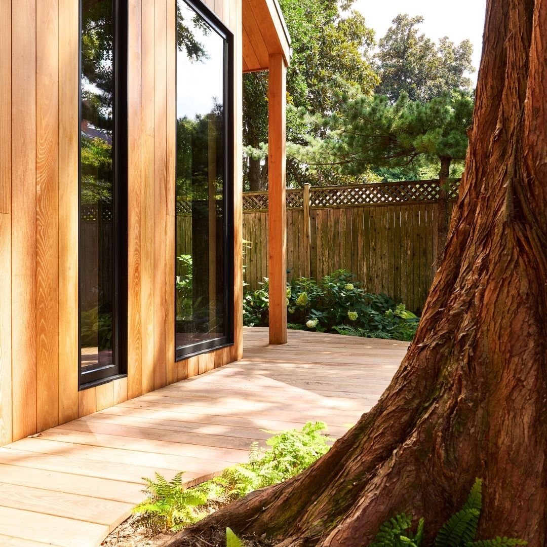 back yard writers cabin in georgetown washington, dc (7)