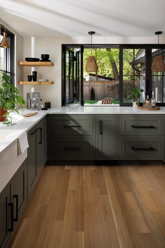 modern-adu-in-del-ray-alexandria-virginia-4