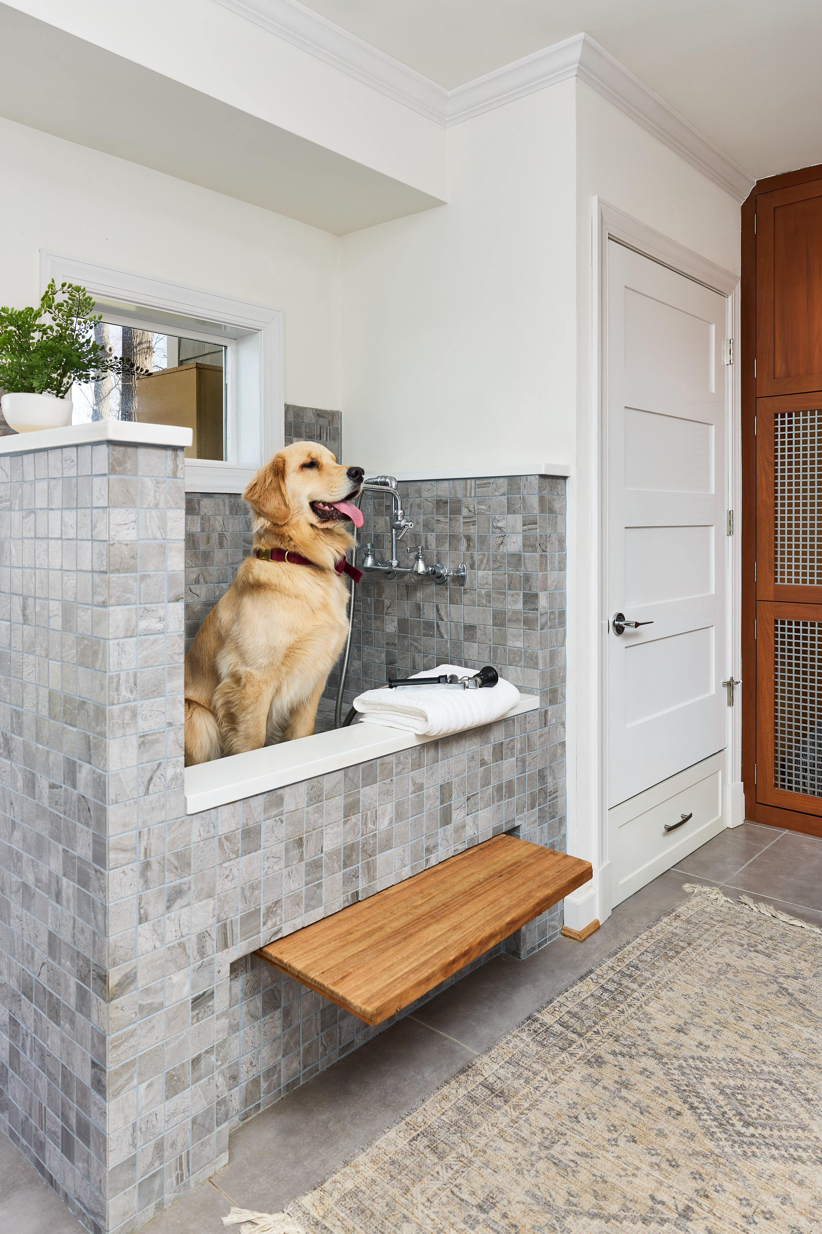 Ultimate Pet-Friendly Home Remodel: Essential Features for a Dog Spa-Laundry Room