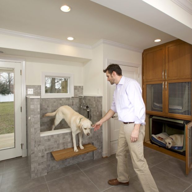 Dog Friendly Mudroom Remodel in Washington, DC