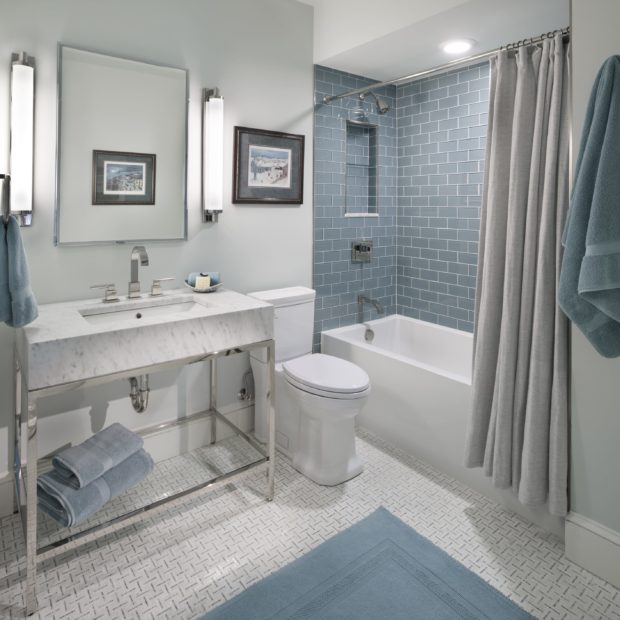 home-renovation-in-del-ray-alexandria-virginia-8