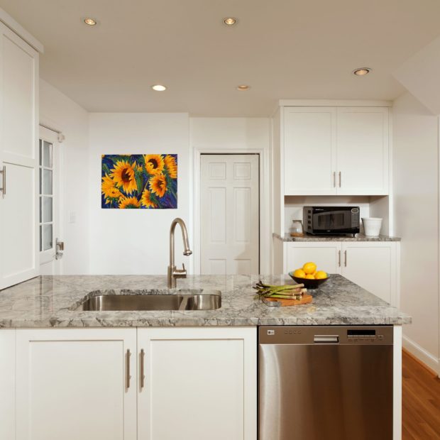 kitchen-remodel-in-bethesda-maryland-2