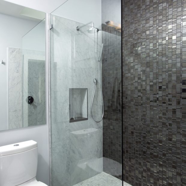 master-bathroom-in-dupont-circle-washington-dc-3