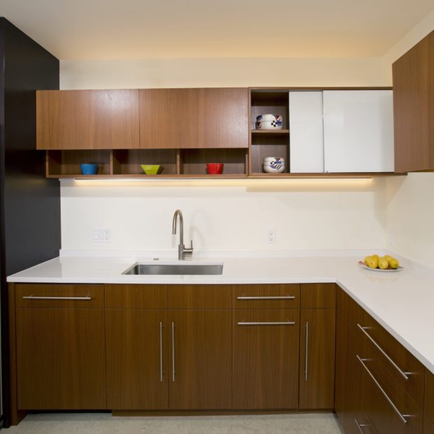 condo-kitchen-remodel-in-downtown-washington-dc-1