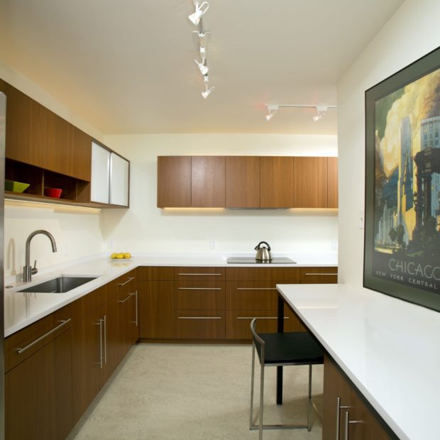 condo-kitchen-remodel-in-downtown-washington-dc-4