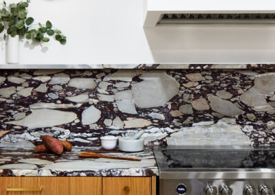 condo-kitchen-and-pantry-in-washington-dc-07