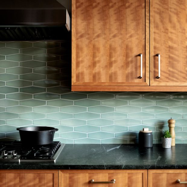 Contemporary Kitchen + Master Bathroom Remodel in Washington, DC