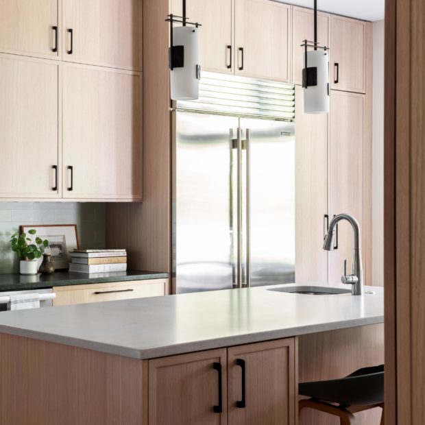 contemporary-kitchen-remodel-in-friendship-heights-washington-dc-5