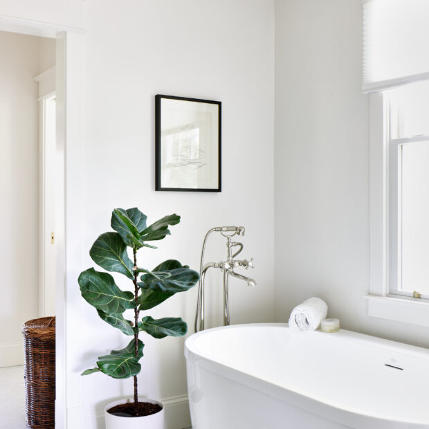 full-home-remodel-in-massachusetts-heights-washington-dc-14