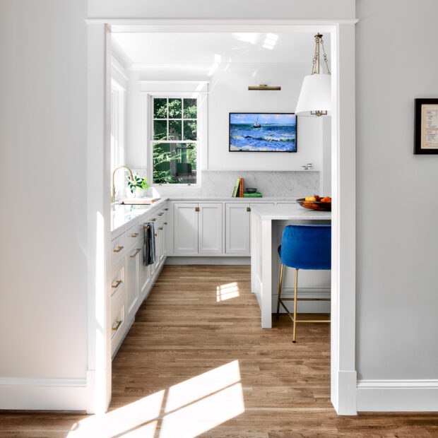 kitchen-and-pantry-update-in-massachusetts-heights-washington-dc-01