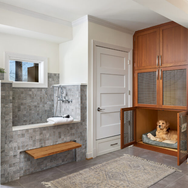 Laundry + Dog Spa in Fairfax, Virginia