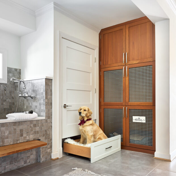 laundry-and-dog-spa-in-fairfax-virginia-04