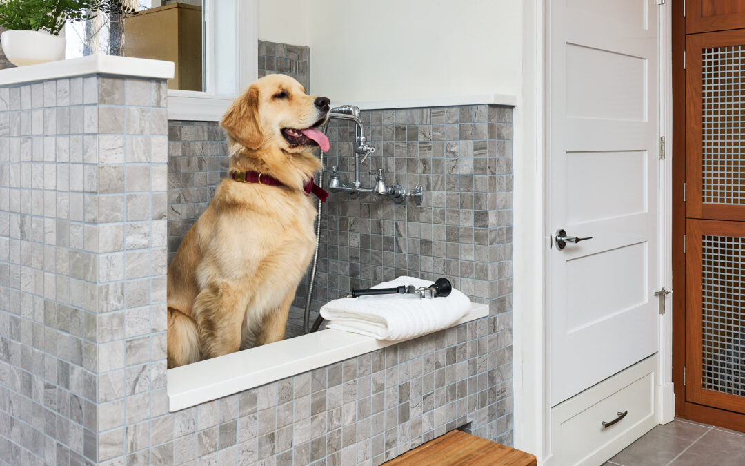 Creating the Ultimate Pet-Friendly Home: Essential Features for a Dog Spa-Laundry Room