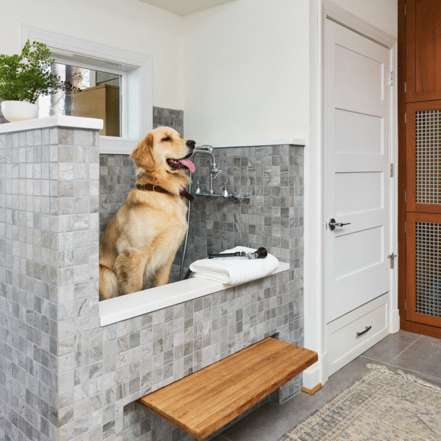 laundry-and-dog-spa-in-fairfax-virginia-06