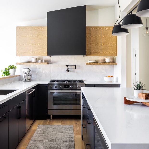 mid-century-modern-kitchen-in-alexandria-virginia-2