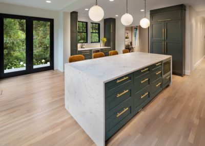 modern-kitchen-renovation-in-glover-park-washington-dc-1