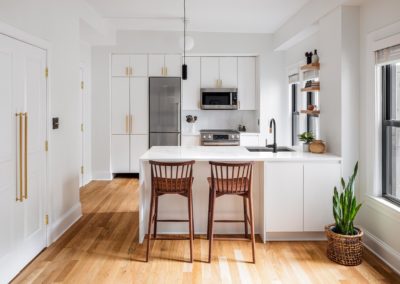 modern-white-kitchen-in-mount-pleasant-washington-dc-1