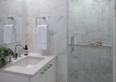 transitional-condo-remodel-in-northwest-washington-dc-bathroom-2
