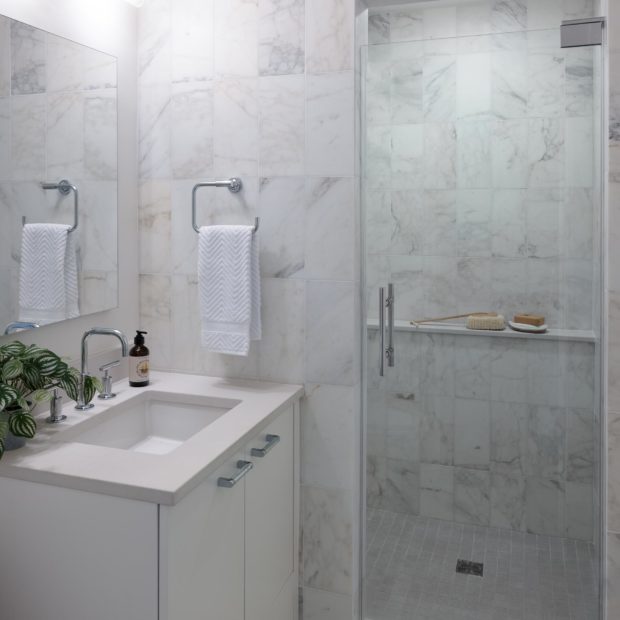 transitional-condo-remodel-in-northwest-washington-dc-bathroom-2