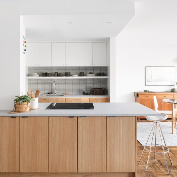 transitional-condo-remodel-in-northwest-washington-dc-kitchen-1