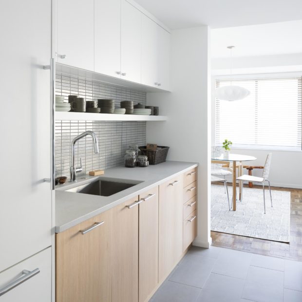 transitional-condo-remodel-in-northwest-washington-dc-kitchen-4